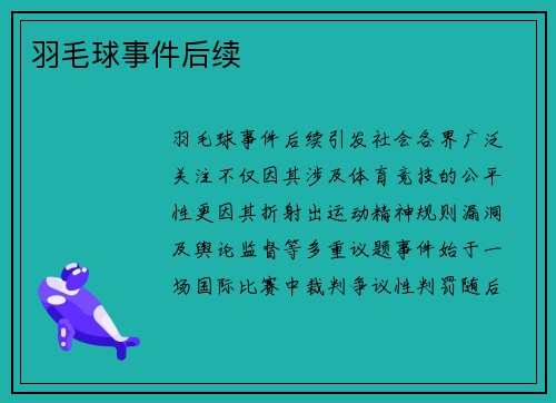羽毛球事件后续