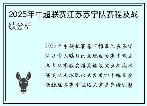 2025年中超联赛江苏苏宁队赛程及战绩分析